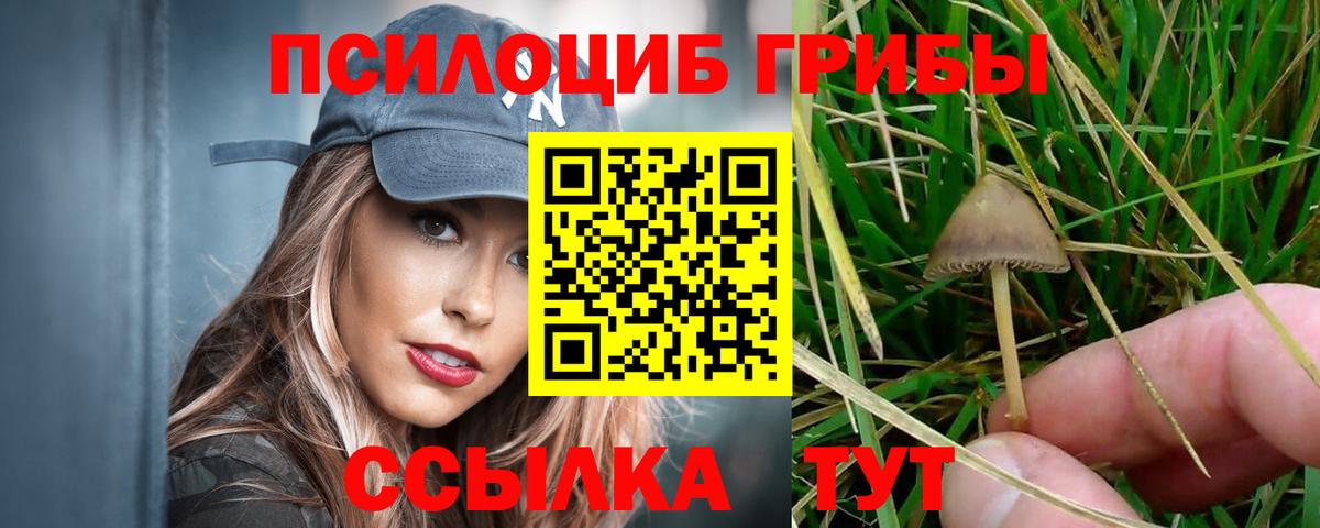 Калач-на-Дону  Галлюциногенные грибы прущие грибы  Вход с VPN  Галлюциногенные грибы Magic Shrooms 